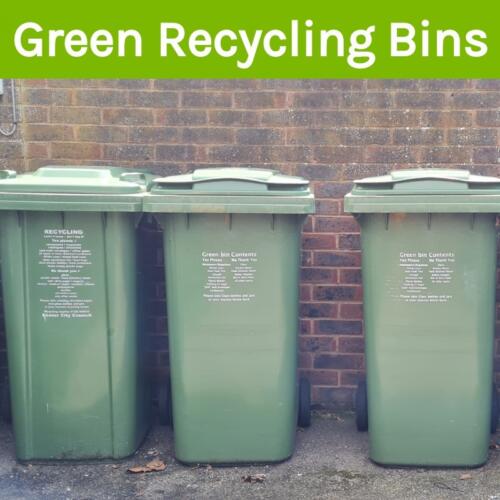 What You Can, (And Can't), Put In Your Green Bin